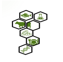 �������� ������������� � ������� �������������