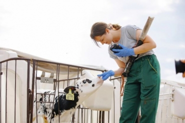 ����������� ����� �������������� �������� 