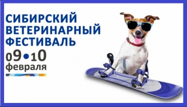 VI ��������� ������������ ���������