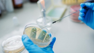 ����� ��������� ������������ ��� �������������