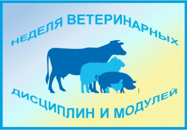 ������� � �������������� ����� ��������������