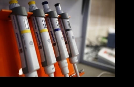 ��������� ����� ���������� �� ��������� ������ ���������� � ������� ����� � ��������� ��� ������� ������ �� 2023 ���