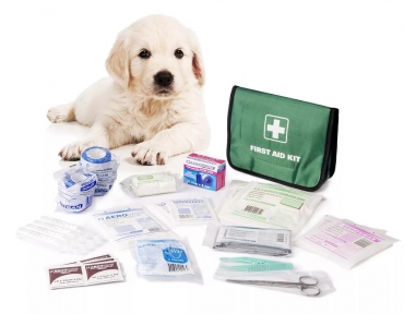 ��������� ������������ �� ��������� ��������� ������� ���������������� ������������, �������������� ������������� � ����� ��������� ������������� �������, ��������������� ��� ���������