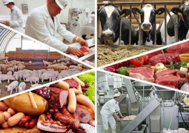 ���������������� �������������� �� ��������� ������������ ������������ � ����������� ��������� ��������������