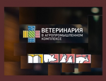 XII ������������� ������-������������ ����������� ������������ � ���������������� ���������