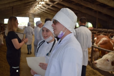 �������� �������������� ��� ����� ������������ I ������� �������� �ZooVET�