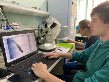 �������� ���� ��� ������������ ������ ��� ���� ������ ����������� �� ������������� ���������