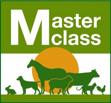 ������ ����� ���������� �������