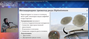 Молодой ученый ИЭПБ выступил с докладом на VII Международной конференция «Современное состояние водных биоресурсов и аквакультуры».