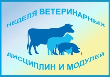 ������ ������������ ���������