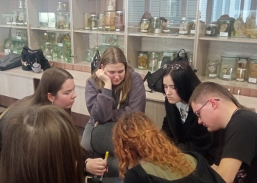 Тренинги на сплочение студентов с психологом