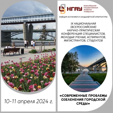 IX ������������ (�������������) ������-������������ ����������� ������������, ������� ������, ����������, ������������, ��������� ������������ �������� ���������� ��������� ������