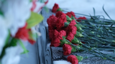 ���������� ������ � ��������� ������-����������� � ��������� ����, � ����� ������������ ��� ��������� ���������