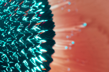 34 �������� �������������� ��� ����� ������������ �������� ������������� �������