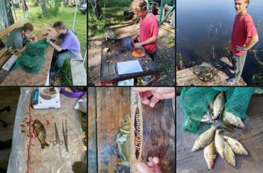 ������� ������ � ������������