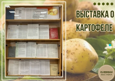 �������� � ���������