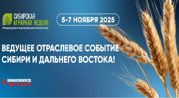 ���������� �������� ������� � ���������� ������������� ���������������� �������� �� ���������� ������ � �������� �������