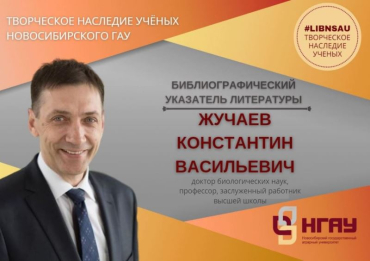 ���������� �������� ������ ����