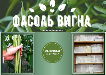 �������� ������� ������ � ��������� �����