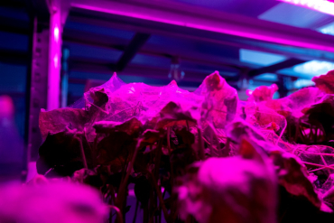 ������������� ��� ���������� �� �����-��� ��������  ������������� ������������������ ����� ������������� ������ ��������