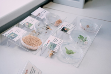 Научный коллектив Новосибирского ГАУ выиграл грант РНФ