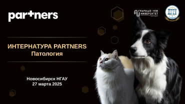 Конференция в Новосибирском ГАУ совместно с научным партнёром «Partners»