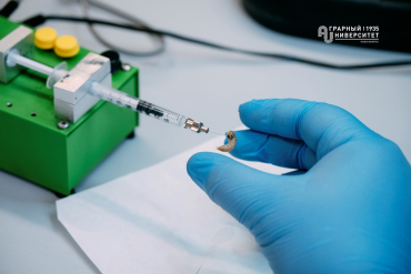 ����� �� ������: ������ �������������� ��� ������ ����� ������� ��� ������������ ���� ��������