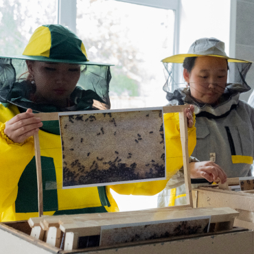 В Новосибирском ГАУ состоялся федеральный этап Всероссийского конкурса «АгроНТРИ-2025»