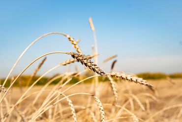 ����������� ����� �������-�������������� ������� ���� ������ ������� �������� ������ �������������� ���