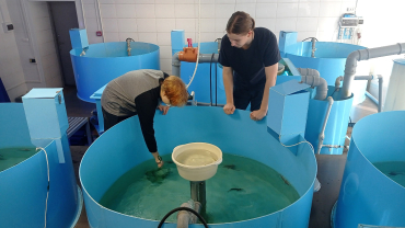 Центр аквакультуры: где рождаются команды будущего