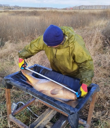 7 сентября - день рыбовода!