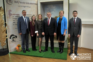 ����������� �������� ����� � ������� ����������� �� ������� ������ ������� ��� ����������� � �����!