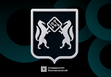 Чат-бот Единого контактного центра Новосибирской области внедрили в МАX