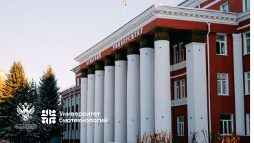 ���������� � �������� ������ ������ ������