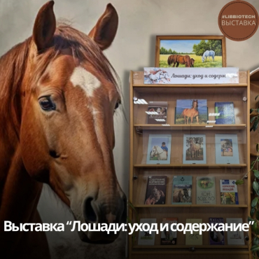 ������: ���� � ����������