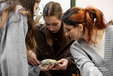 �� �������� � ����������������. � ������������ ������������� ������ ������� �� ��������� ���������� �������