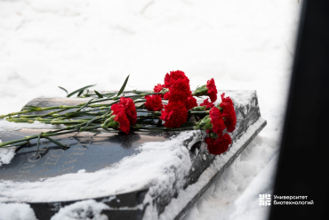 � ������ � ������: ���������� ������ � ��������� ������-����������� � ��������� ����