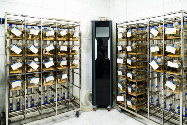 ����������� ������������� ��������� ������� ���� �������� SPF-�������