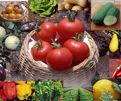 Международная научная конференция