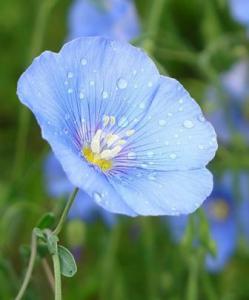 �������� ����������� ������������ ����-�������� � ������