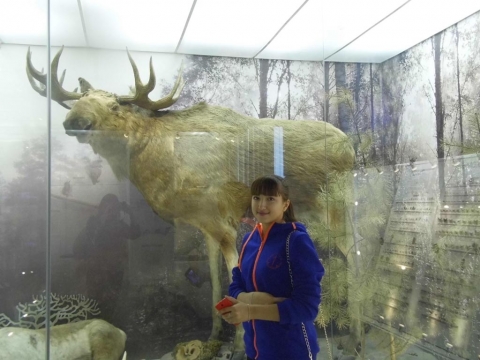 ��������� � ������������� �����