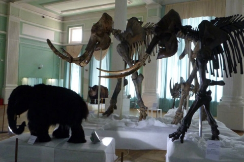 ��������� � ������������� �����