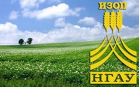 ������� ���� ����������  �������� ��� � �������� ����������: ������������� ����������� � ������������������� ����������\"