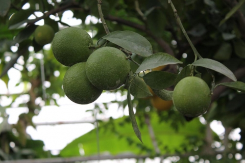 ��������� � ������������ ���