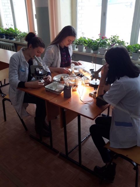 ������� �������� �� ������������� 