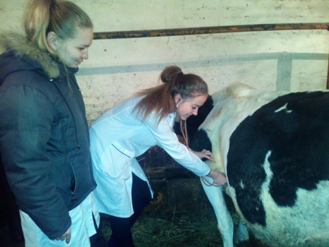 ������������ ������� �� ������������� �����������