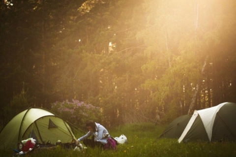 ���� ����� �� ����