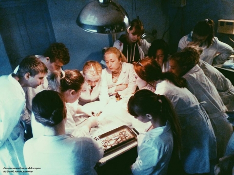 ������� �������� �� ������������� 