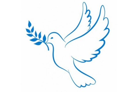 ������������� ���� ����