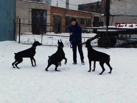 ������� �������� �� ������������� 